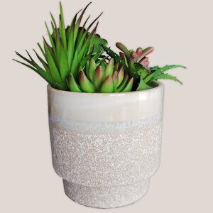 Succulent Faux Plant in Ceramic Pot | Southwest Design Home Decor Artificial